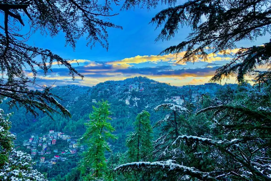 Manali Tour From Delhi | Virasat Tour