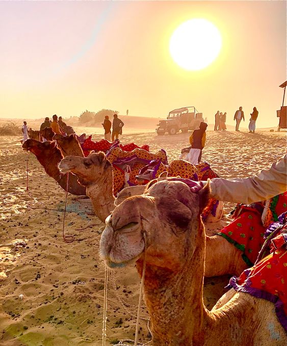 Complete Rajasthan Tour